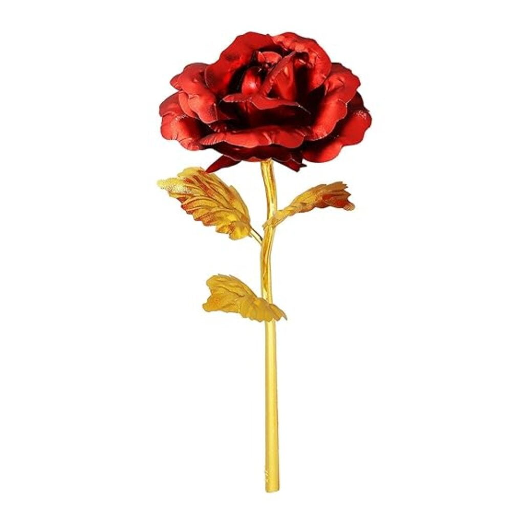 Valentine Day rose